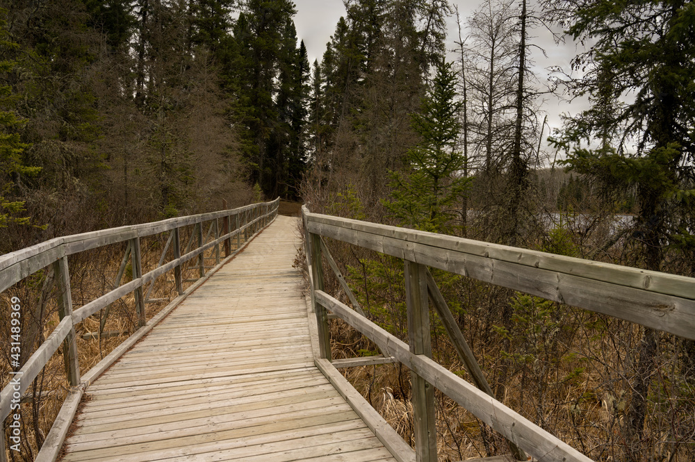 Old wooden hiking bridge through a boreal forest ends in a dark stand of trees.
