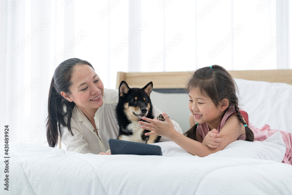 An Asian girl with her mother sits on a bed with a Shiba Inu. A girl hands together for success with a dog. An Asian girl with her mother sits on a bed with a Shiba Inu. A girl hands together for success with a dog.