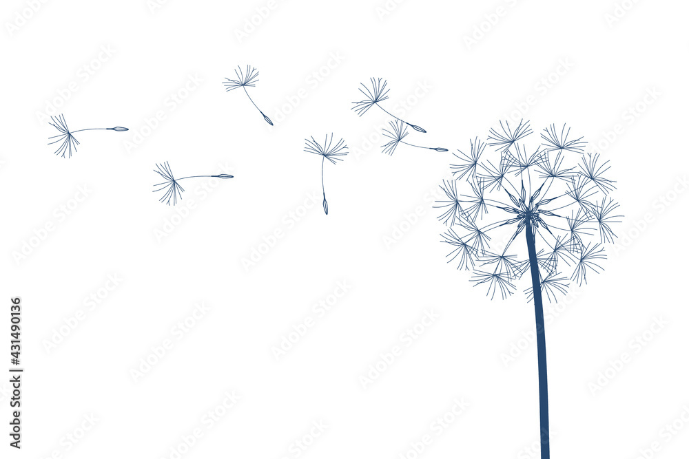 Fototapeta premium Dandelion vector. Make a Wish. Simple minimalist style.