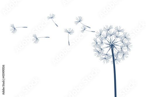 Dandelion vector. Make a Wish. Simple minimalist style.