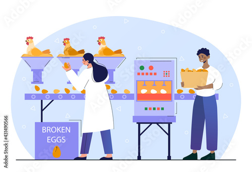 Male and female chicken poultry production factory machine.
