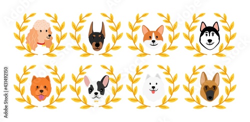 Dogs winner avatars