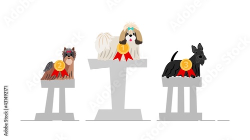 Dogs winner podium