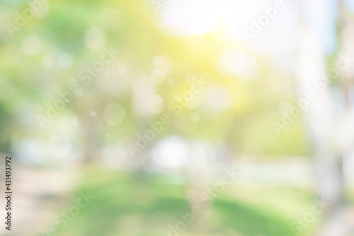 Nature bokeh blur abstract background