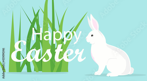 Happy Easter rabbit