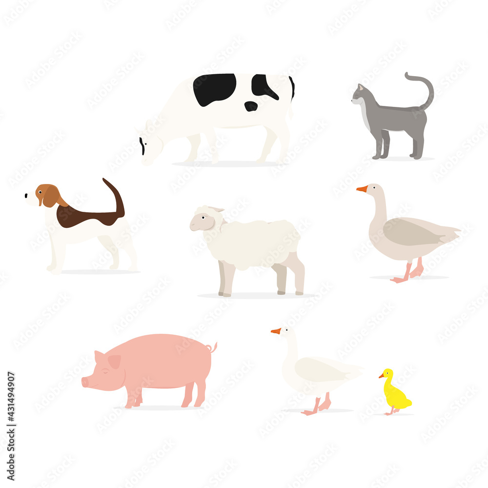 Cartoon animals collection Cartoon animals collection