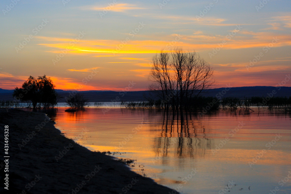 Purple and pink evening sky reflection on the lake surface, lonely trees in the lake Purple and pink evening sky reflection on the lake surface, lonely trees in the lake