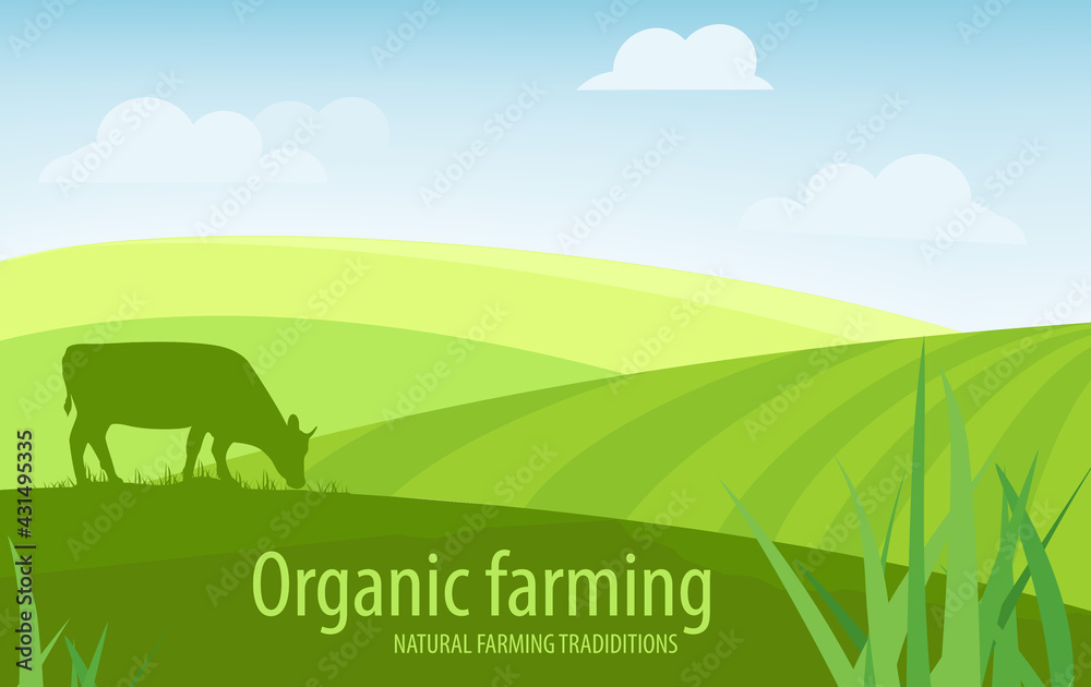 Rural landscape organic farming background