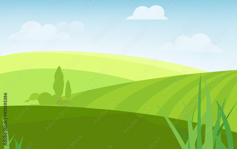 Summer fields landscape Summer fields landscape
