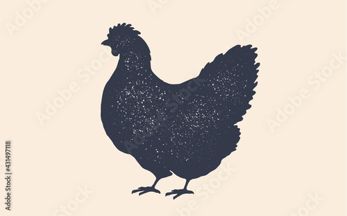 Hen, chicken. Vintage logo, retro print, poster