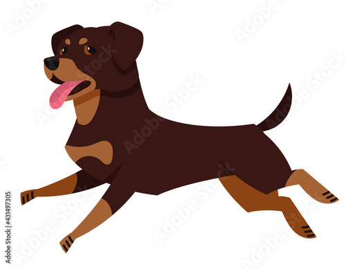 Running Rottweiler side view. Beautiful pet in cartoon style.