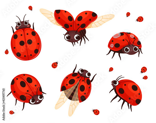 Ladybug. Flying closeup insects in action poses nature bugs nowaday vector illustrations of cartoon red ladybugs