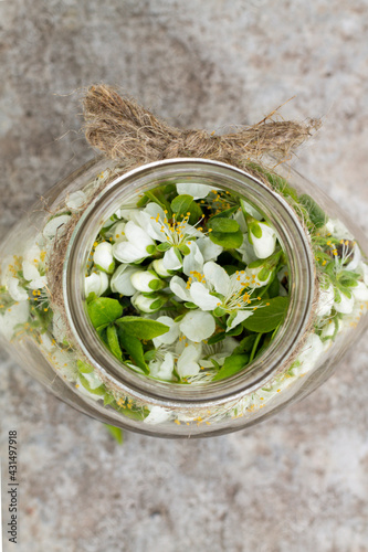 Cherry flowers in the jar 