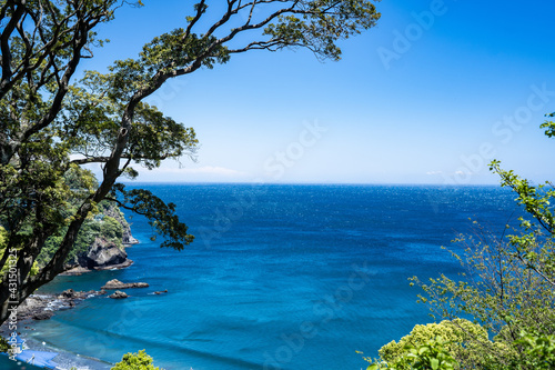 熱海の庭園の景色