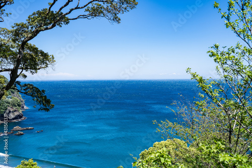 Fototapeta Naklejka Na Ścianę i Meble -  熱海の庭園の景色