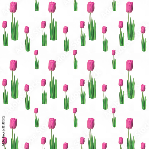 Floral pattern. Wonderful pink tulips on a white background. Beautiful spring...
