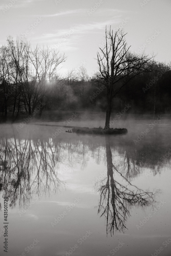 Fototapeta premium Lever de soleil et brume sur le lac