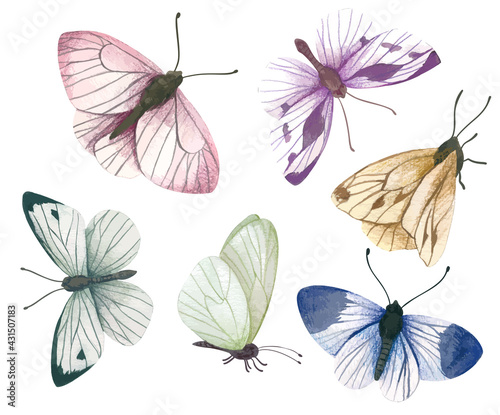 Set of six pastel butterflies, hand drawn vector © nurofina