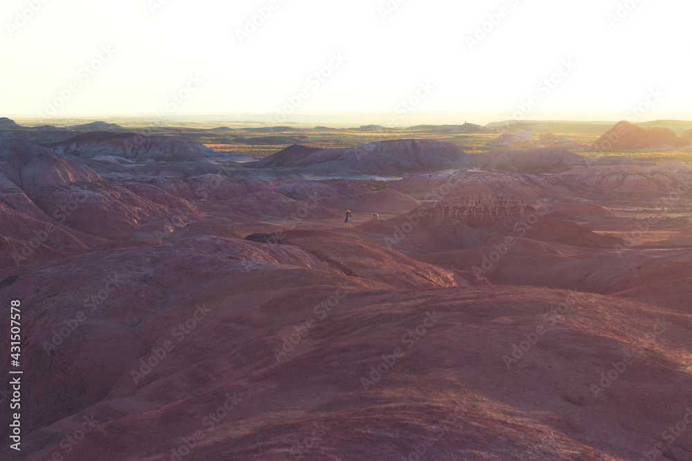 Red desert in Asia, Martian view background, desert and small canyon 