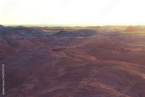 Red desert in Asia  Martian view background  desert and small canyon 
