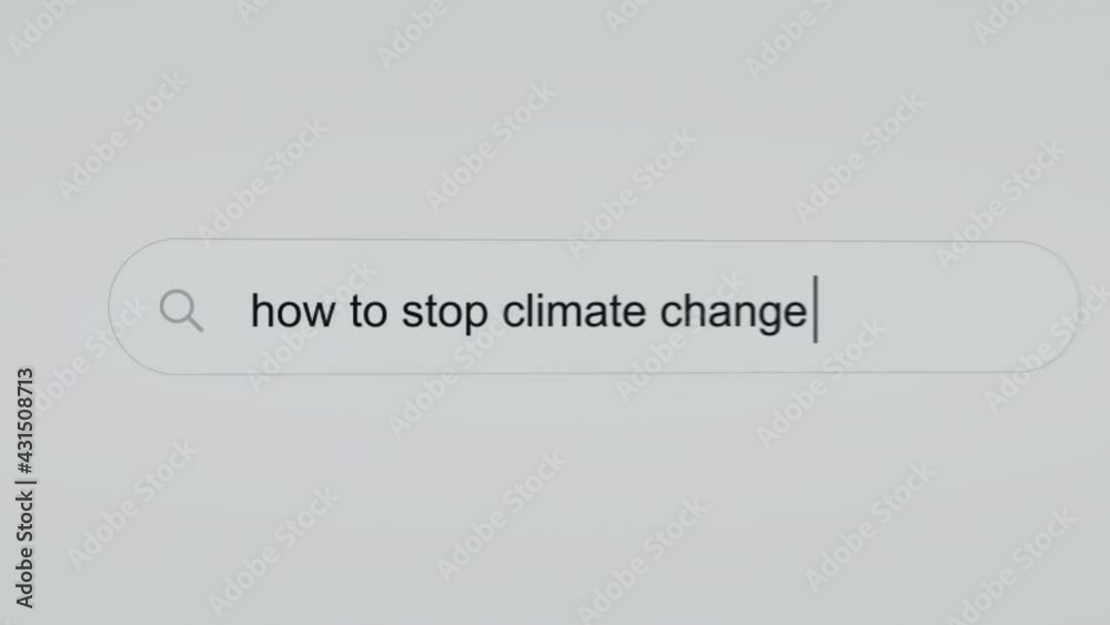 How to stop climate change - Pc screen internet browser search engine bar typing environment related question.