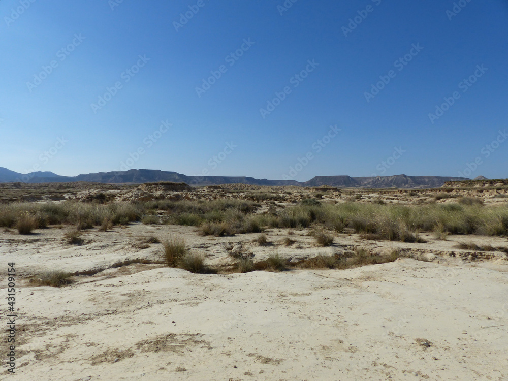Tabernas desert