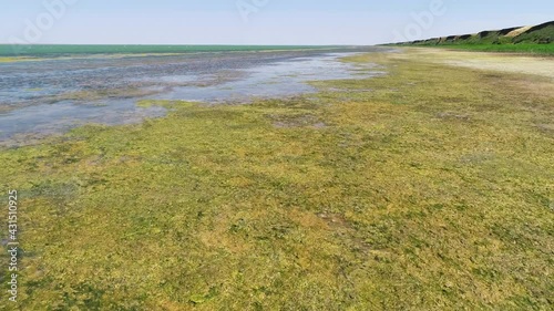 The lake shore is shrouded in mud