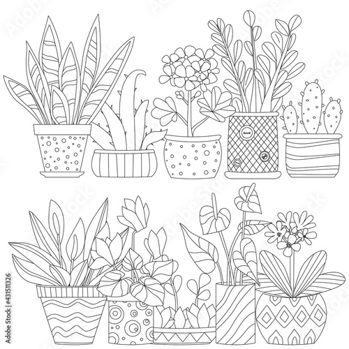 lovely collection of ethnic decorative flowerpots with growing h