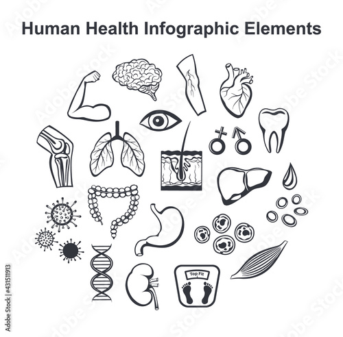 Human health infographic elements objects. Organs, cells, etc  silhouettes in black color