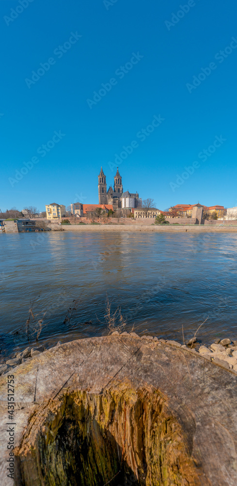 View over Magdeburg historical downtown, Elbe river and the cathedral in early Spring with cut tree trunk at sunny day and blue sky, Germany. Concept green city living