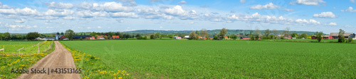Panoramic view at a cultivated land with a dirt road in the country