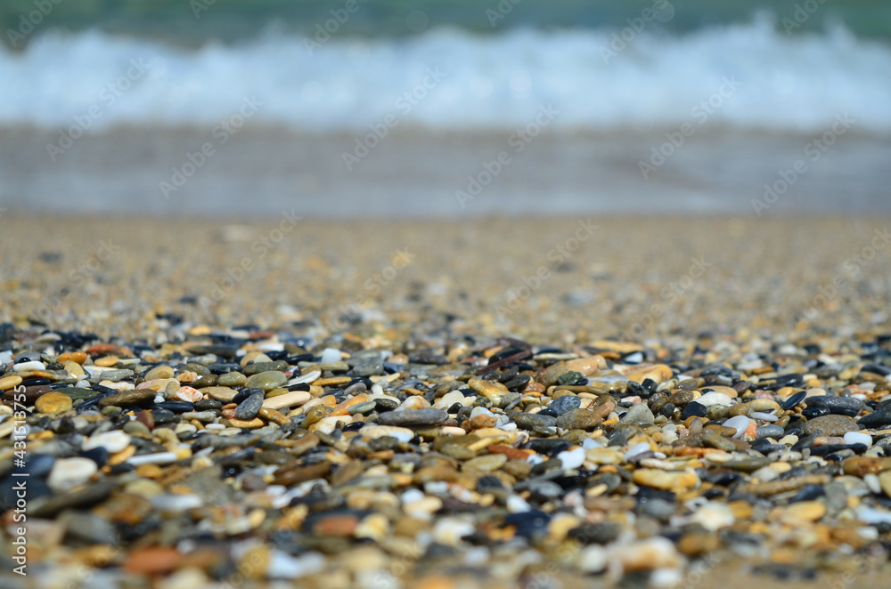 sand and shells sand and shells