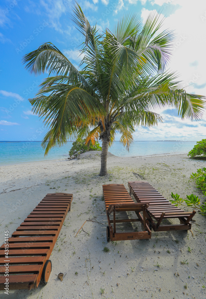 wooden lounger with palm tree on the shore of a tropical island