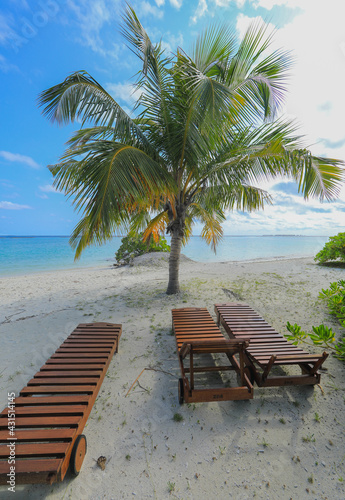 wooden lounger with palm tree on the shore of a tropical island