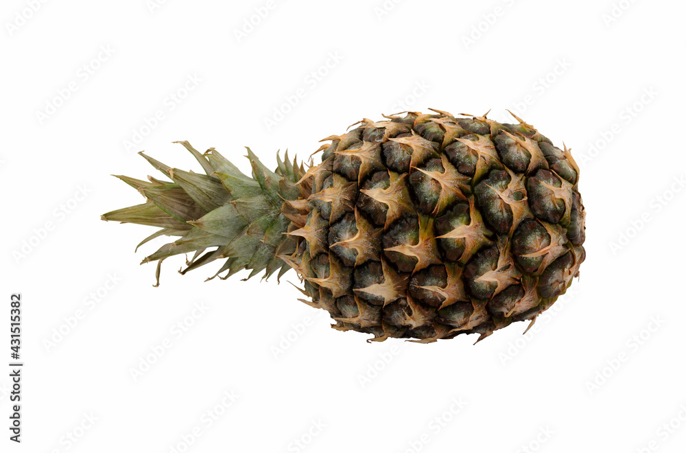 Sluggish pineapple isolated on white background. Sluggish pineapple isolated on white background.