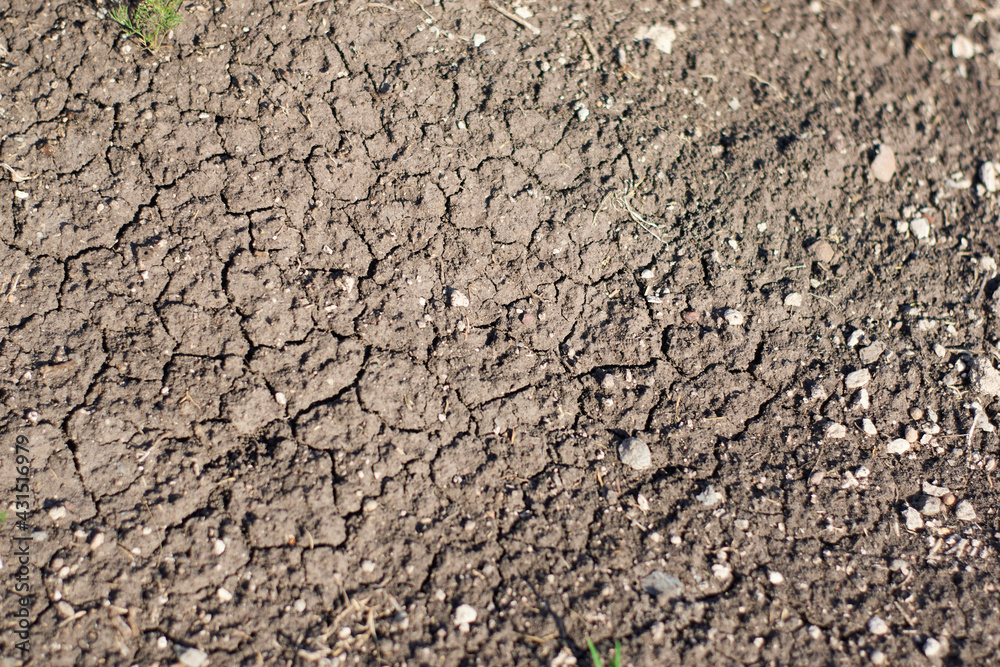 technology waste in the arid soil technology waste in the arid soil