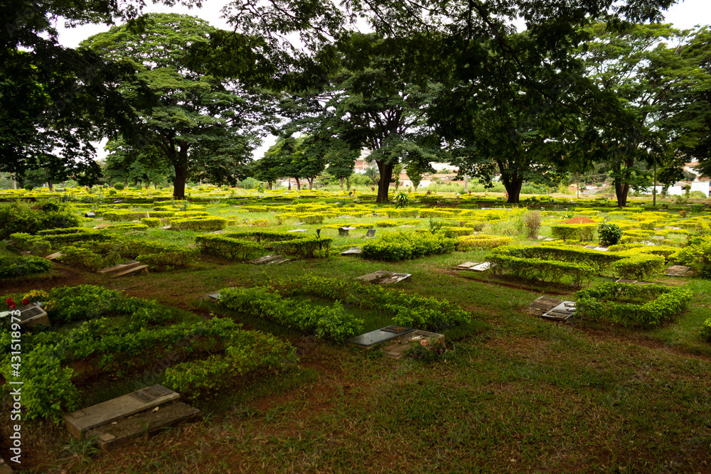 Vista panorâmica de um cemitério com muitas árvores e grama.