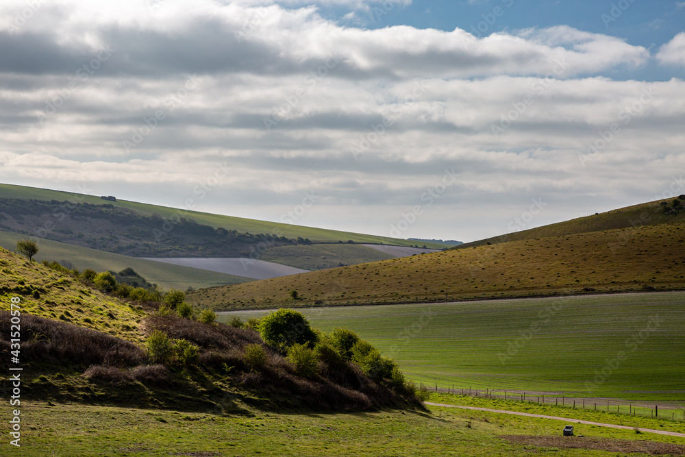 Naklejka premium A Rural South Downs View