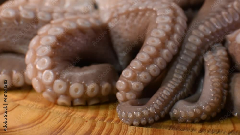 raw octopus on the wooden cutting board rotates raw octopus on the wooden cutting board rotates