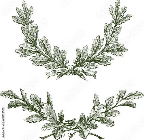 Freehand drawings of triumphal oak branches with acorns and ribbon