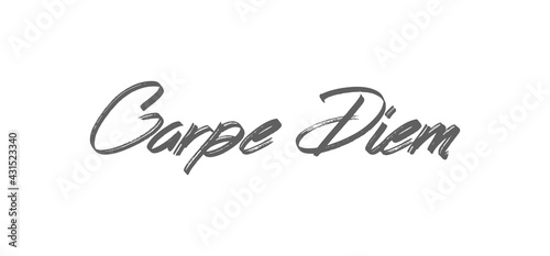 Carpe Diem lettering text, hand drawn typographic style phrase. Motivational quote handwritten design.