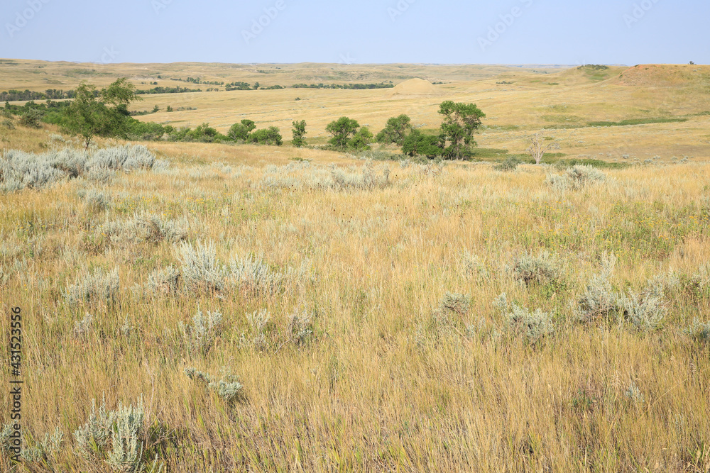 Little Missourin National Grassland in North Dakota, USA