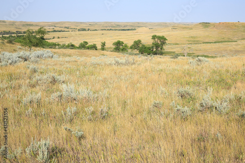 Little Missourin National Grassland in North Dakota, USA photo