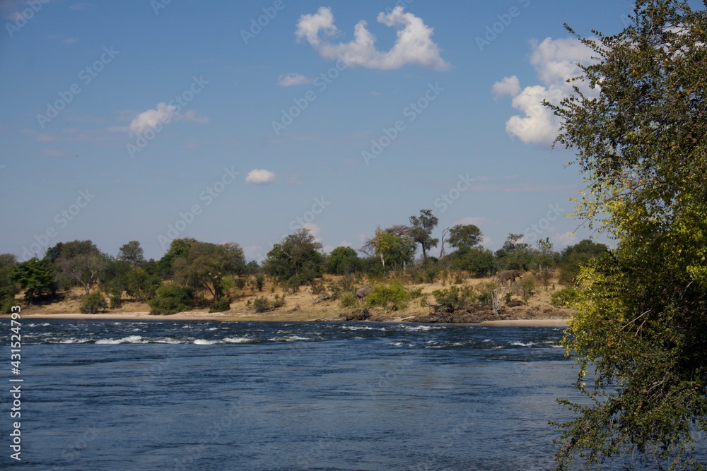 Zimbabwe Zambezi shore