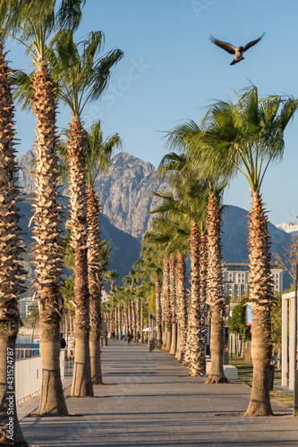 Fototapeta Naklejka Na Ścianę i Meble -  Konyaalti beach promenade in Antalya, Turkey