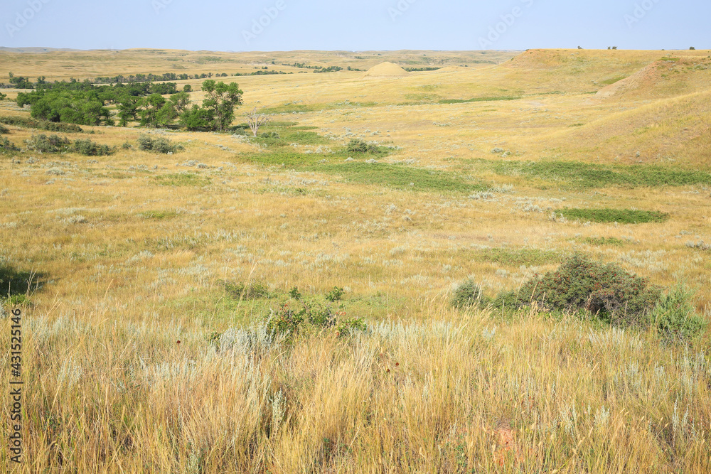 Little Missouri National Grassland in North Dakota, USA Little Missouri National Grassland in North Dakota, USA