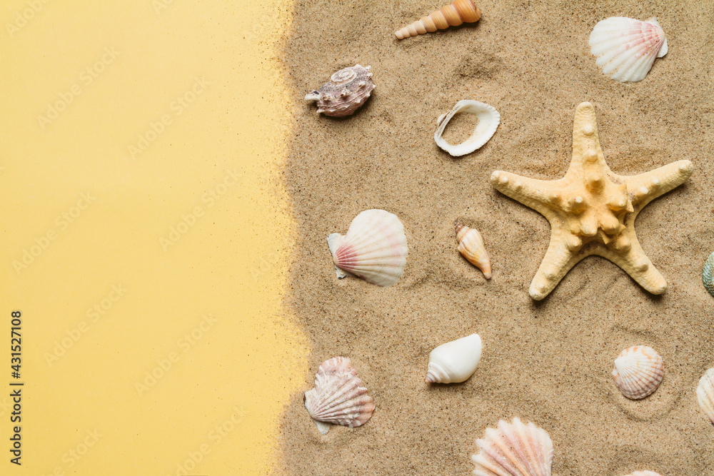 beach, shell, beautiful seashell, starfish, summer, yellow, travel, tourism, ocean, sea, group, holiday, layout, collection, aquatic, background, beautiful, place for text, closeup, colorful, beach, shell, beautiful seashell, starfish, summer, yellow, travel, tourism, ocean, sea, group, holiday, layout, collection, aquatic, background, beautiful, place for text, closeup, colorful,