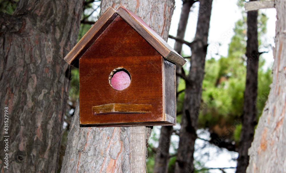 Small wooden birdhouse on tree in forest