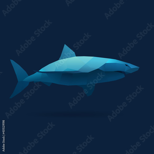 llustration of shark