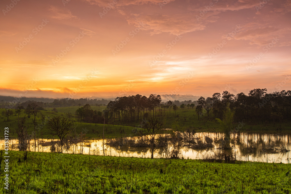 Landscape of Thung Salaeng Luang national park, Phitsanulok  province, Thailand.